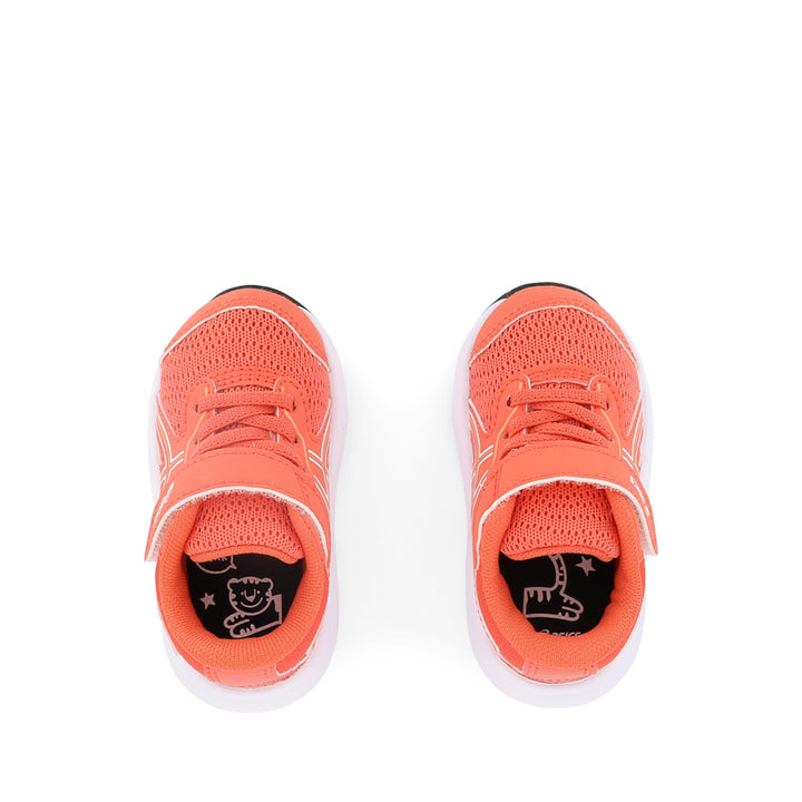 CONTEND 9 TS - CORAL REEF/MOJAVE