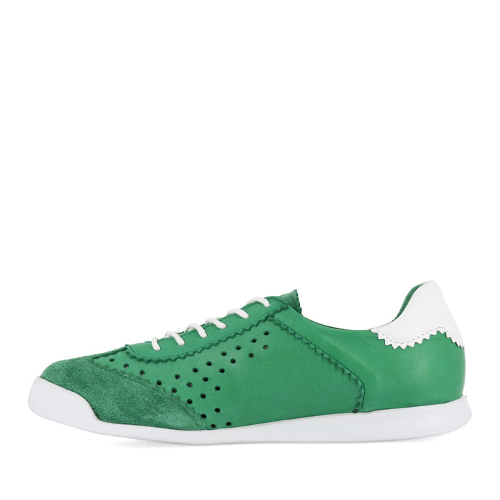 TERRA PUNCHED - FERN COMBO