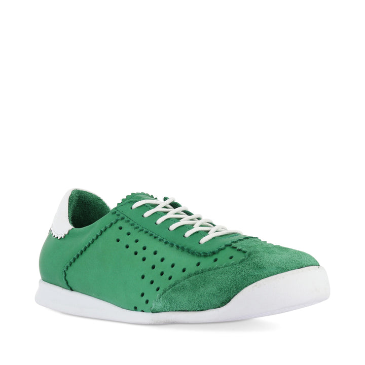 TERRA PUNCHED - FERN COMBO