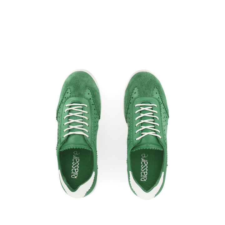 TERRA PUNCHED - FERN COMBO