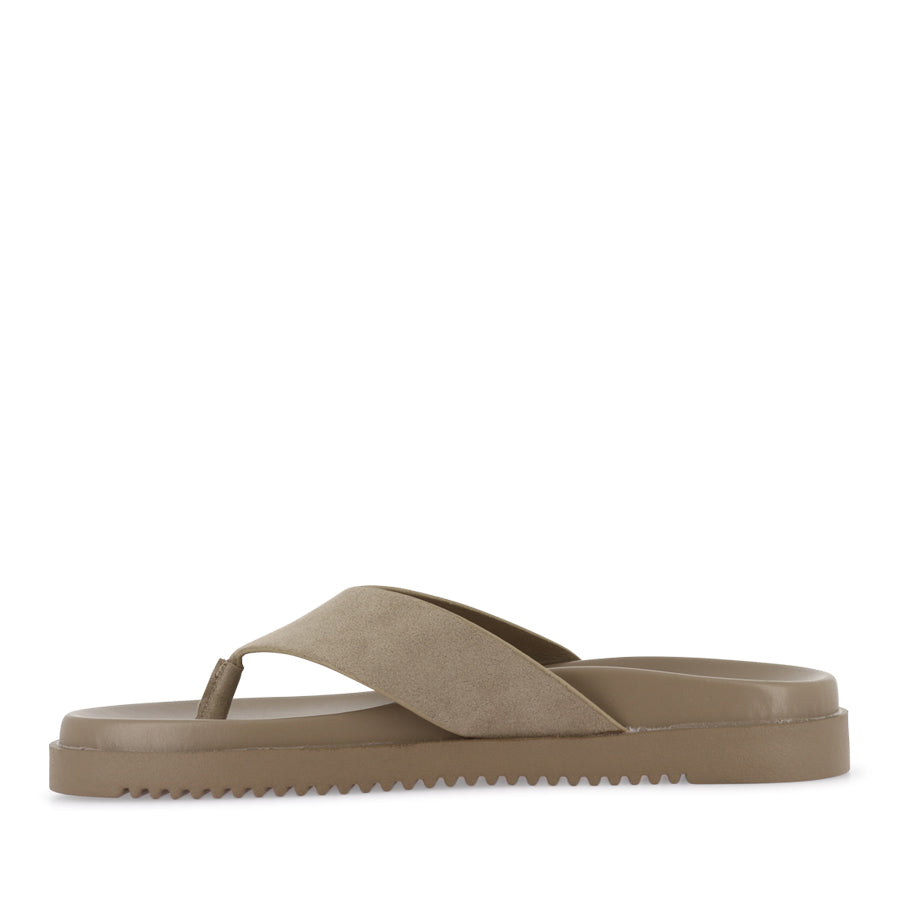 AILA - DUNE SUEDE