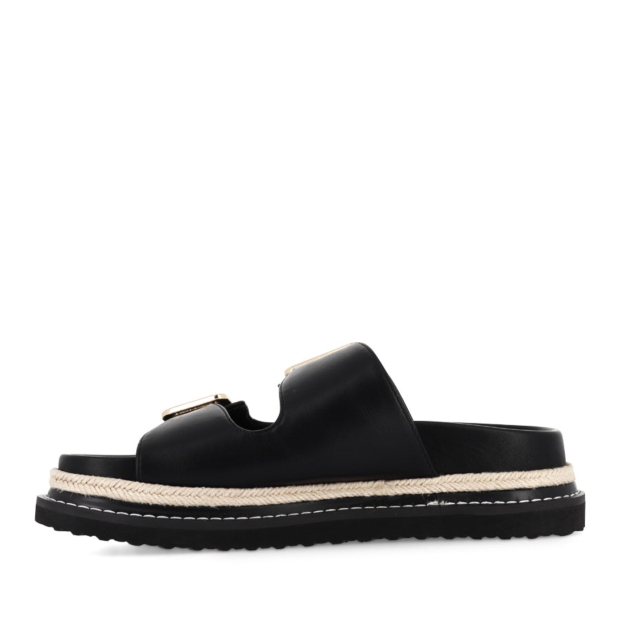 ALDER - BLACK