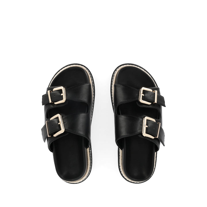 ALDER - BLACK