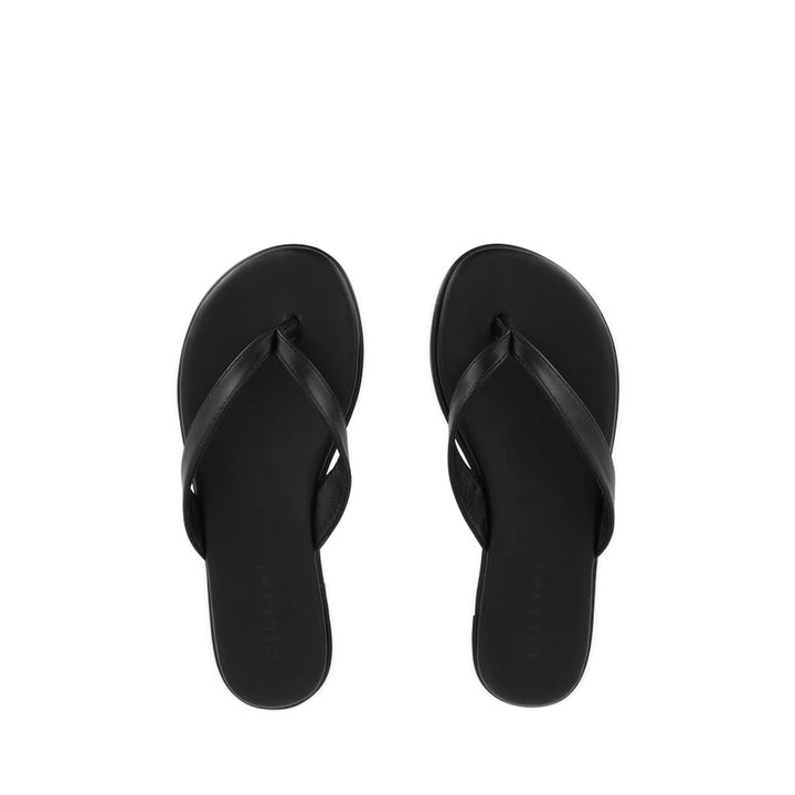 AUGUST - BLACK