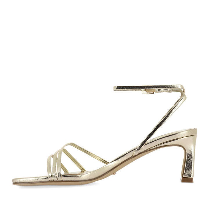MAELIS - GOLD METALLIC