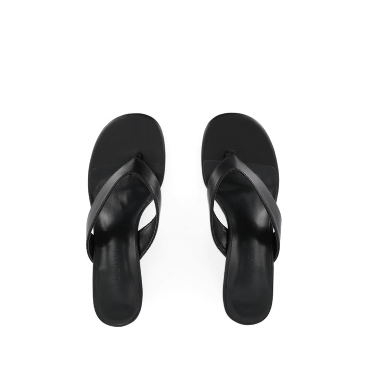 TIGGY - BLACK