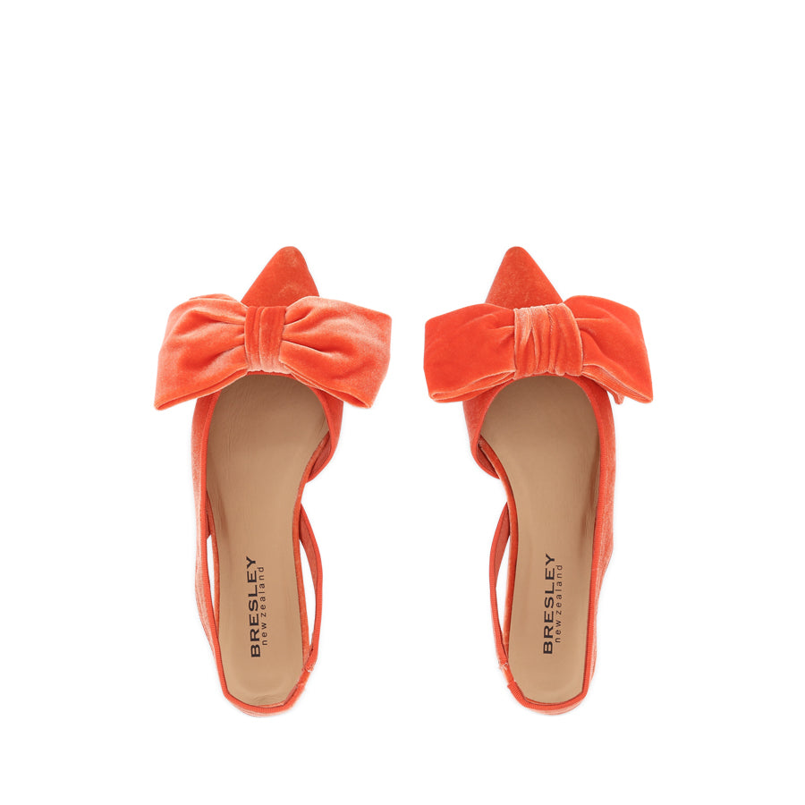 DAISY - CORAL VELVET
