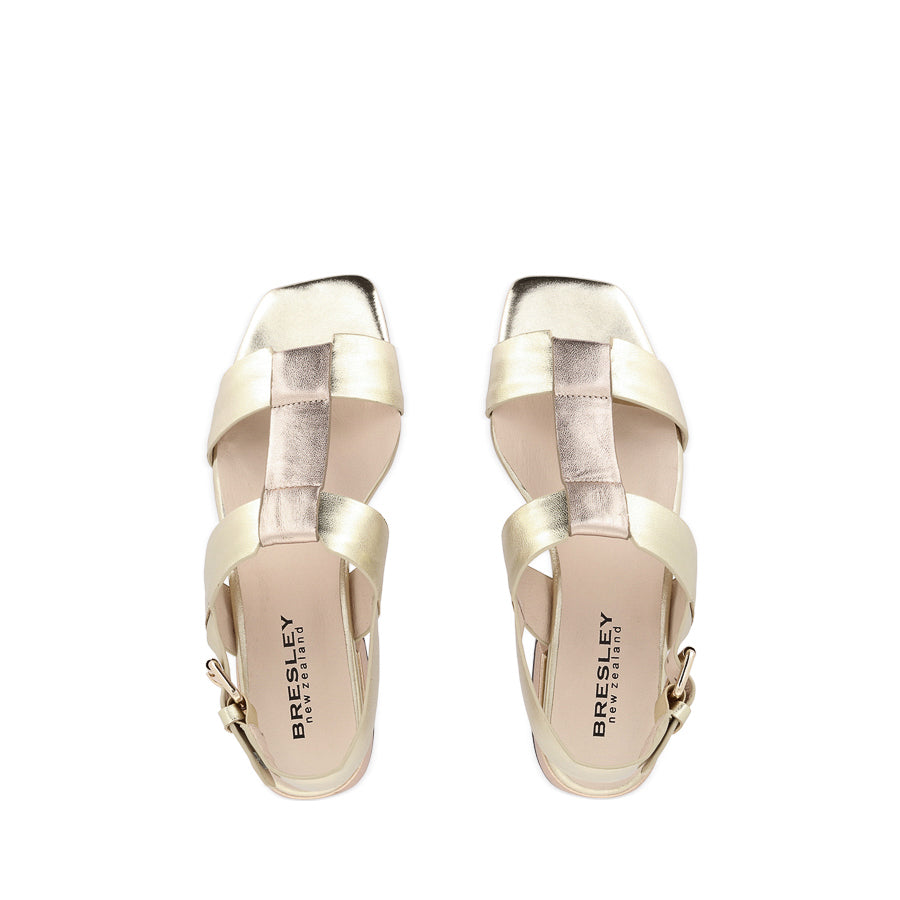 SANTO - GOLD ROSE LEATHER