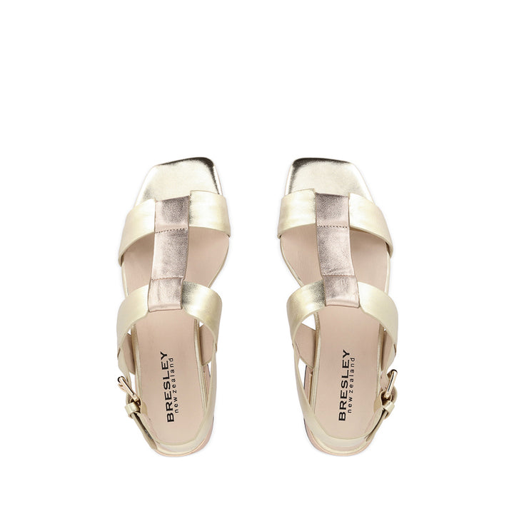 SANTO - GOLD ROSE LEATHER