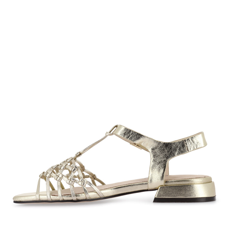 SARINE - GOLD WEAVE