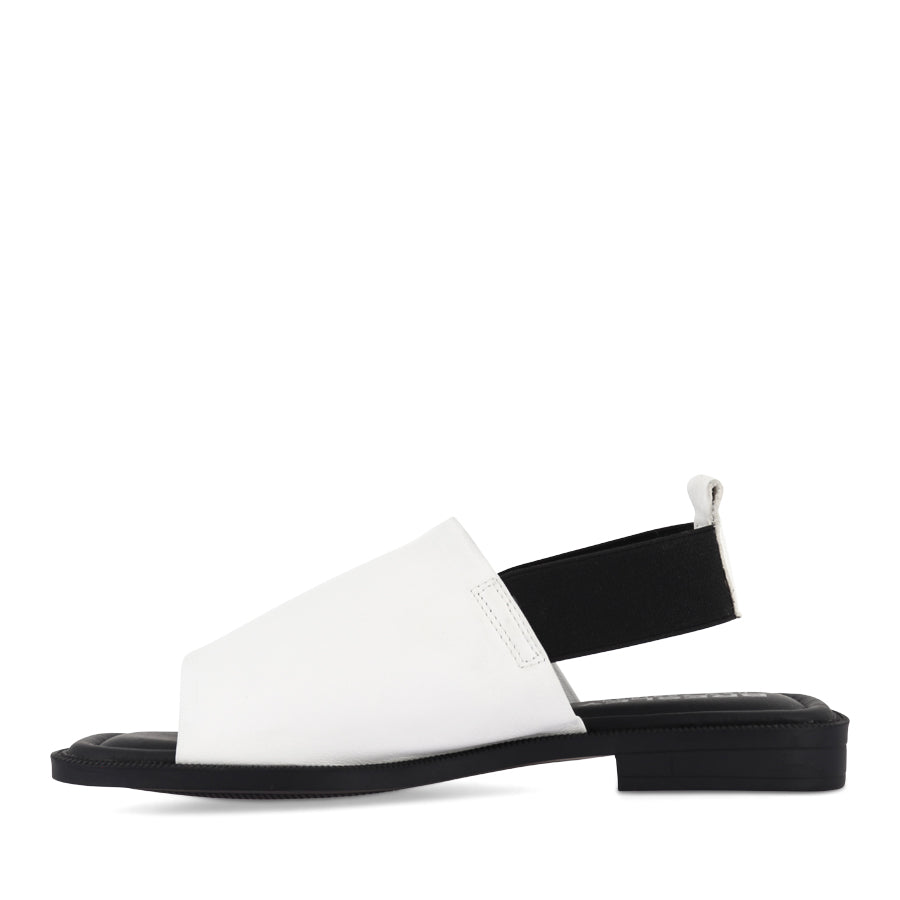 SNOB - WHITE/BLACK LEATHER