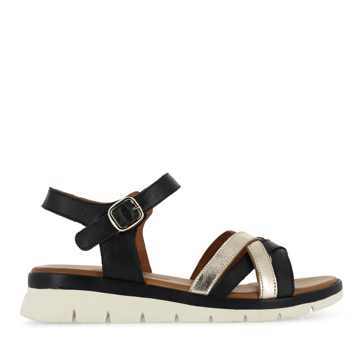 APEX - BLACK MULTI LEATHER