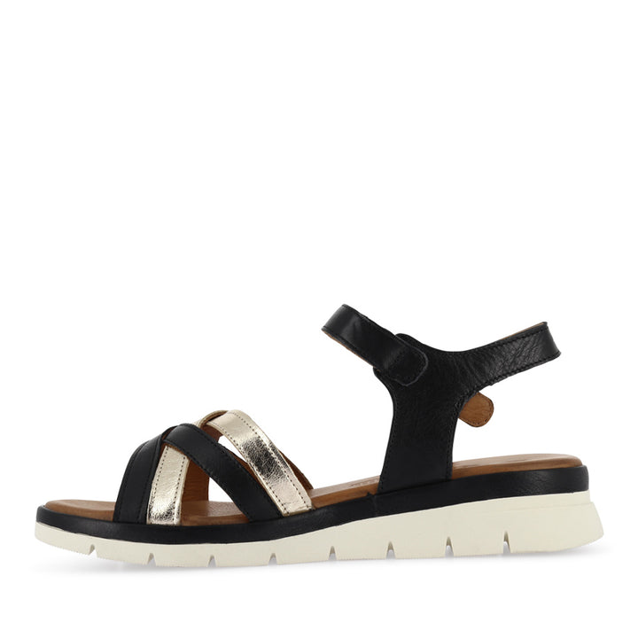 APEX - BLACK MULTI LEATHER