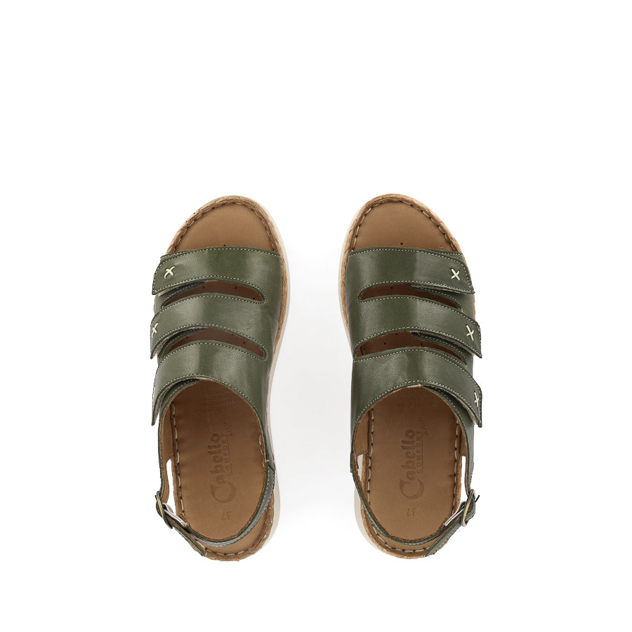 COAST - OLIVE LEATHER