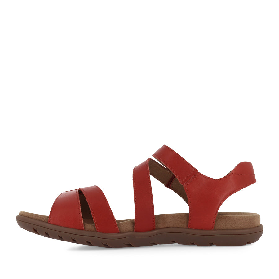 TROPHY - RED