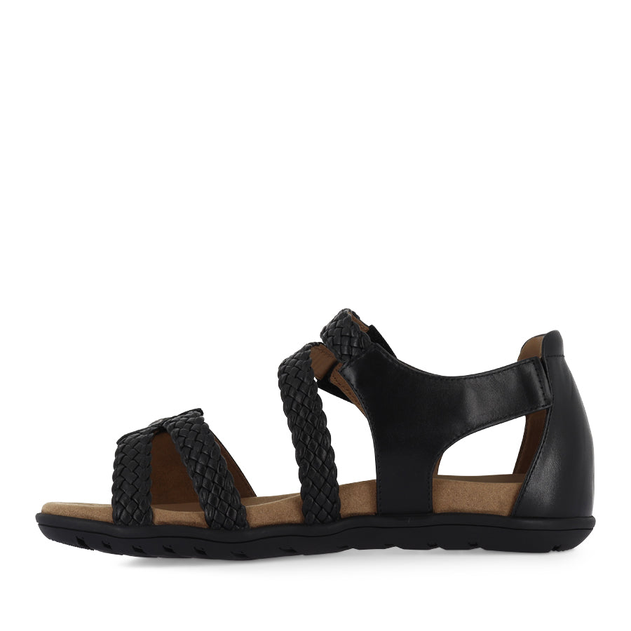 TROVE - BLACK