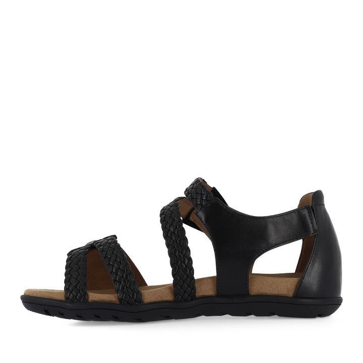 TROVE - BLACK