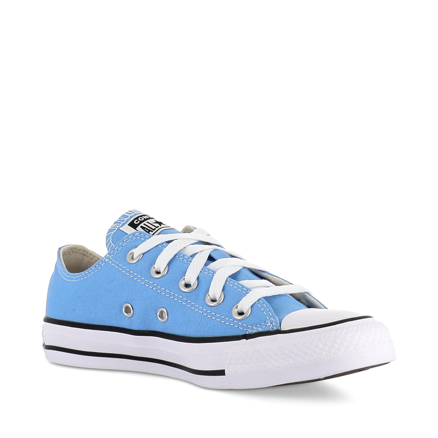 ALL STAR LOW SEASONAL 23 - LIGHT BLUE