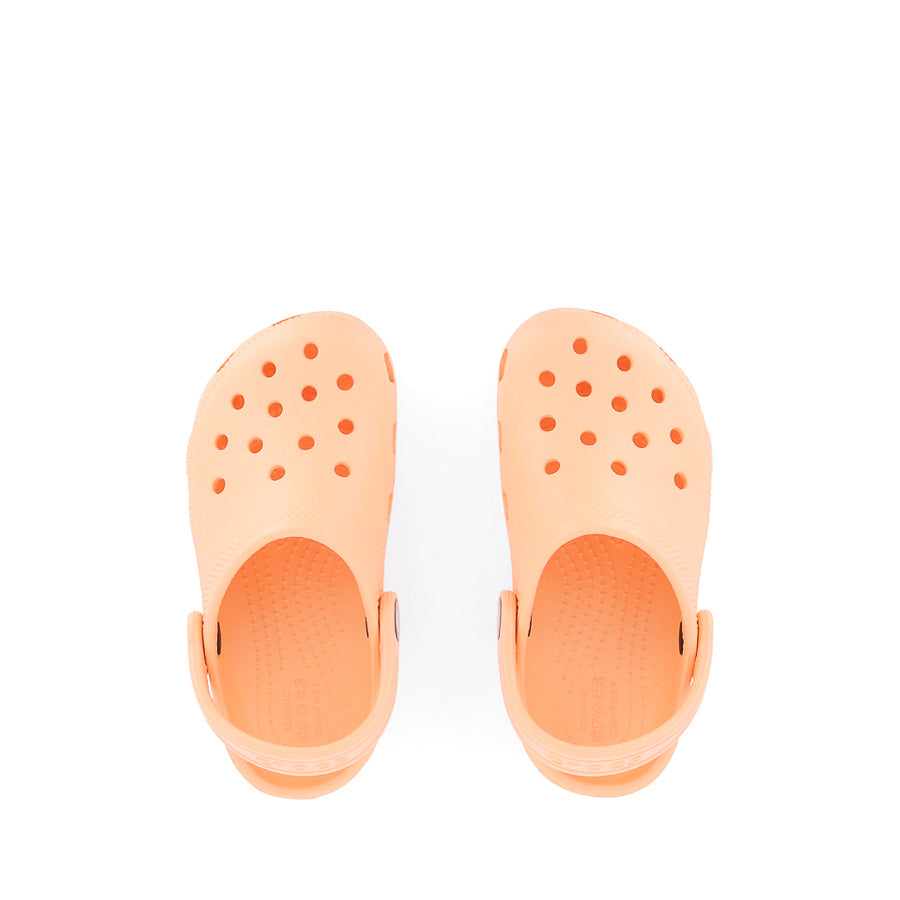 CLASSIC CLOG KIDS SEASONAL W26 - ELECTRIC SUNSTONE