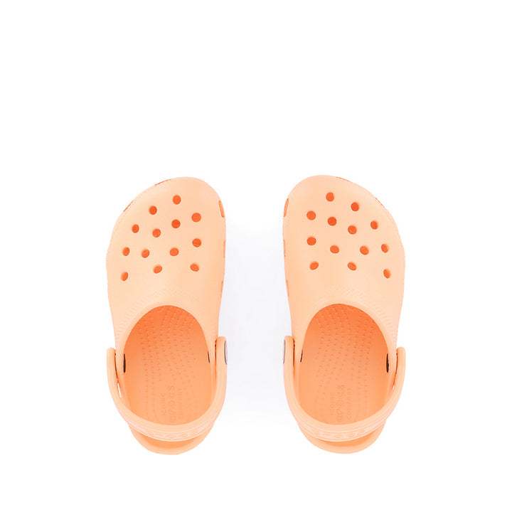 CLASSIC CLOG KIDS SEASONAL W26 - ELECTRIC SUNSTONE
