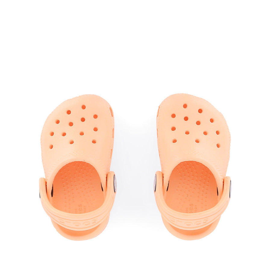 CLASSIC CLOG TODDLER W26 - ELECTRIC SUNSTONE
