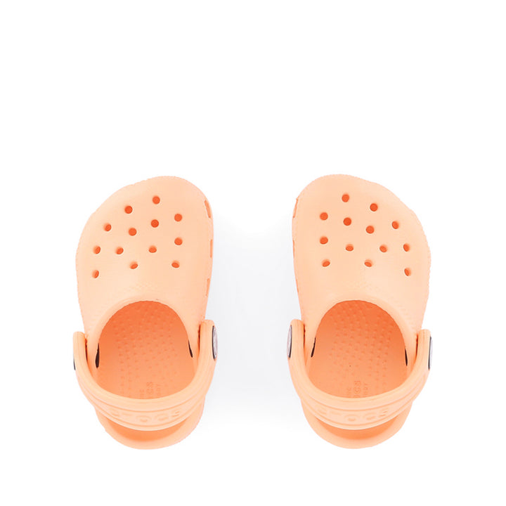 CLASSIC CLOG TODDLER W26 - ELECTRIC SUNSTONE