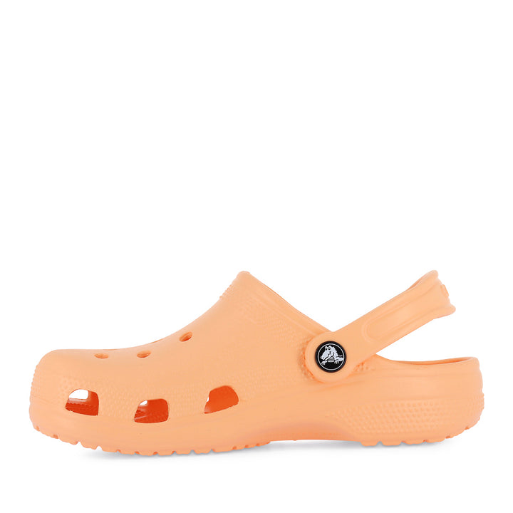 CLASSIC CLOG - ELECTRIC SUNSTONE