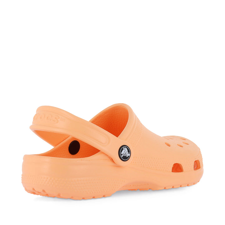 CLASSIC CLOG - ELECTRIC SUNSTONE