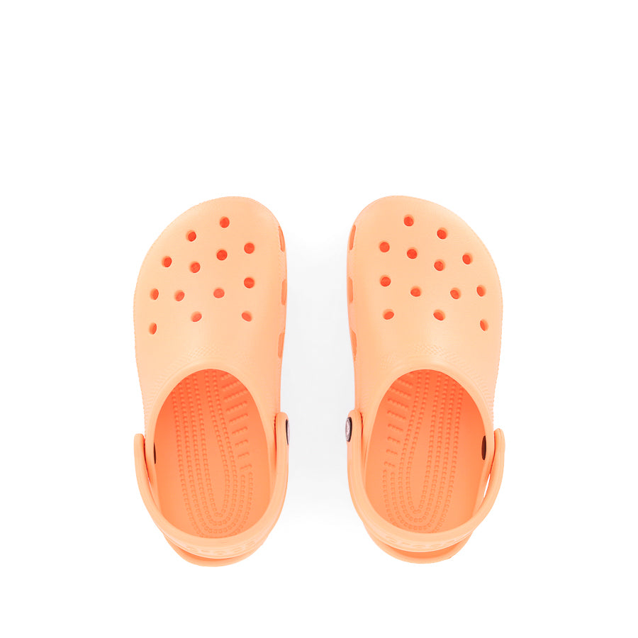 CLASSIC CLOG - ELECTRIC SUNSTONE