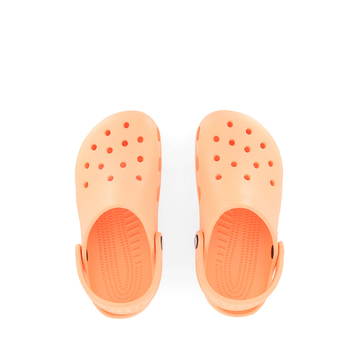 CLASSIC CLOG - ELECTRIC SUNSTONE