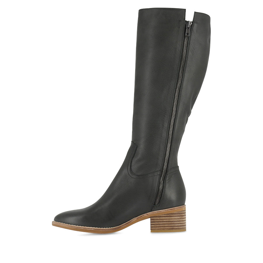 PECTOR - OLIVE LEATHER