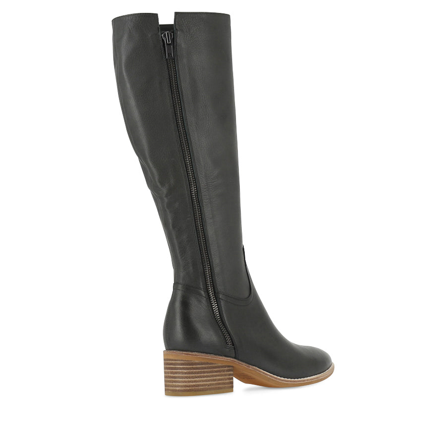PECTOR - OLIVE LEATHER