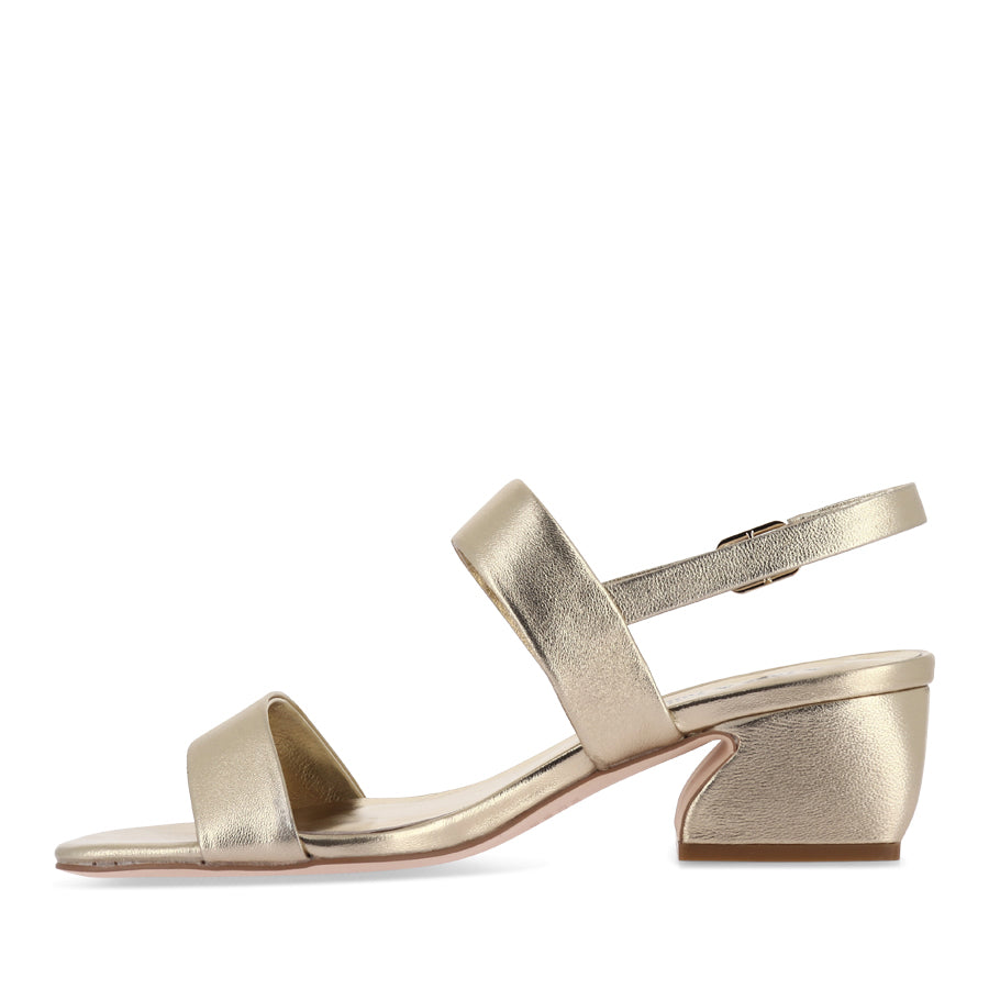 SHANEY - GOLD LEATHER