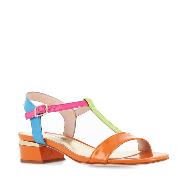 TANER - GELATO MULTI PATENT