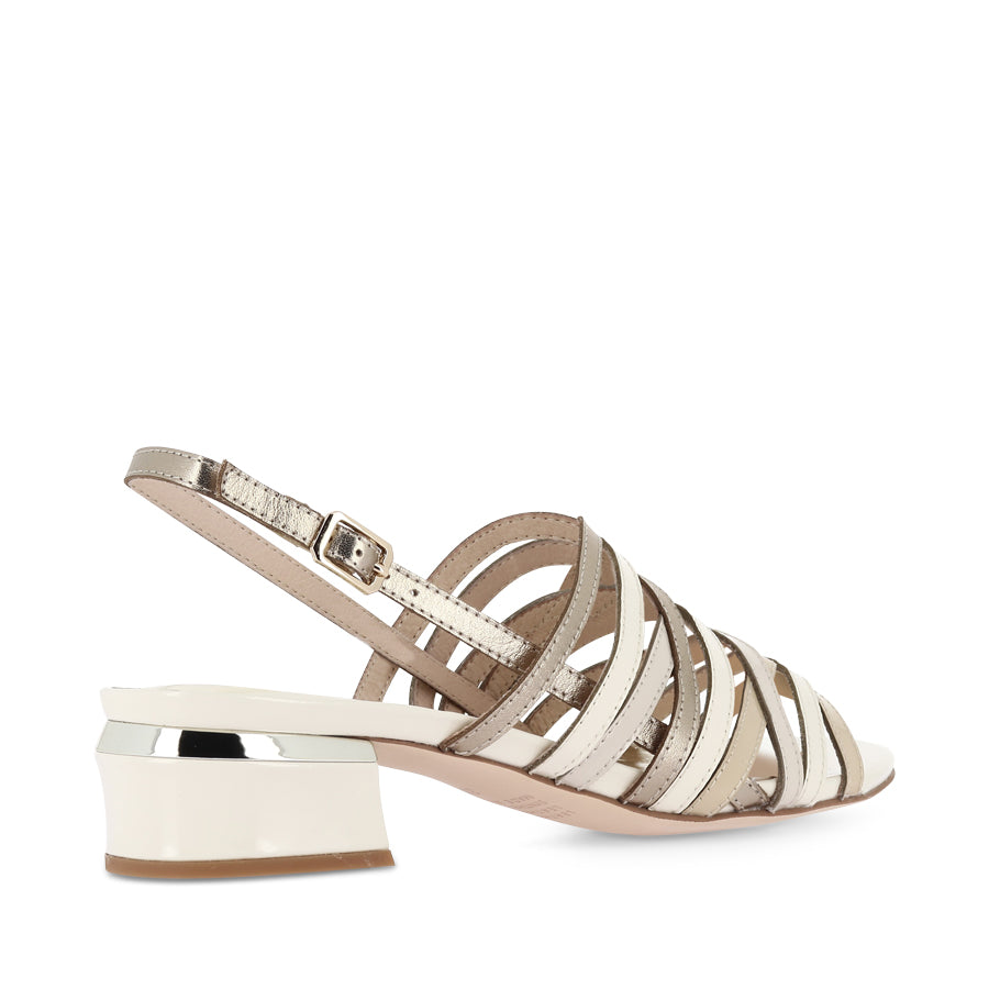 TANNAZ - NEUTRAL PATENT MULTI