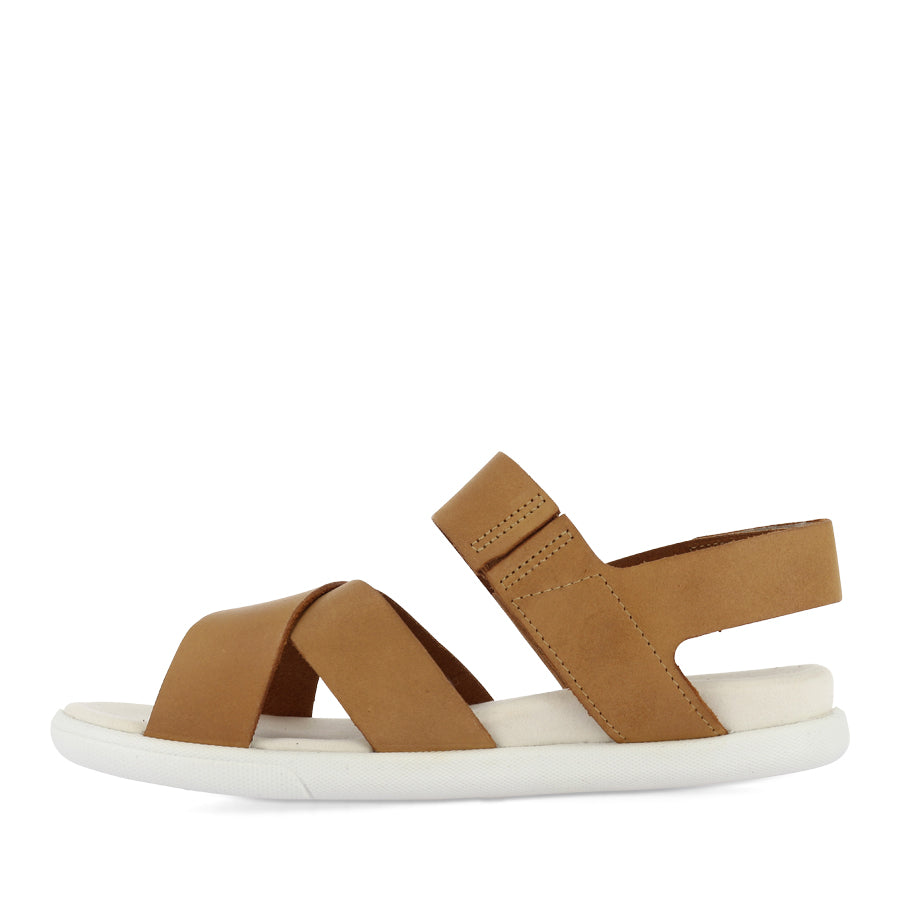 SAMARA W 220103 - LION