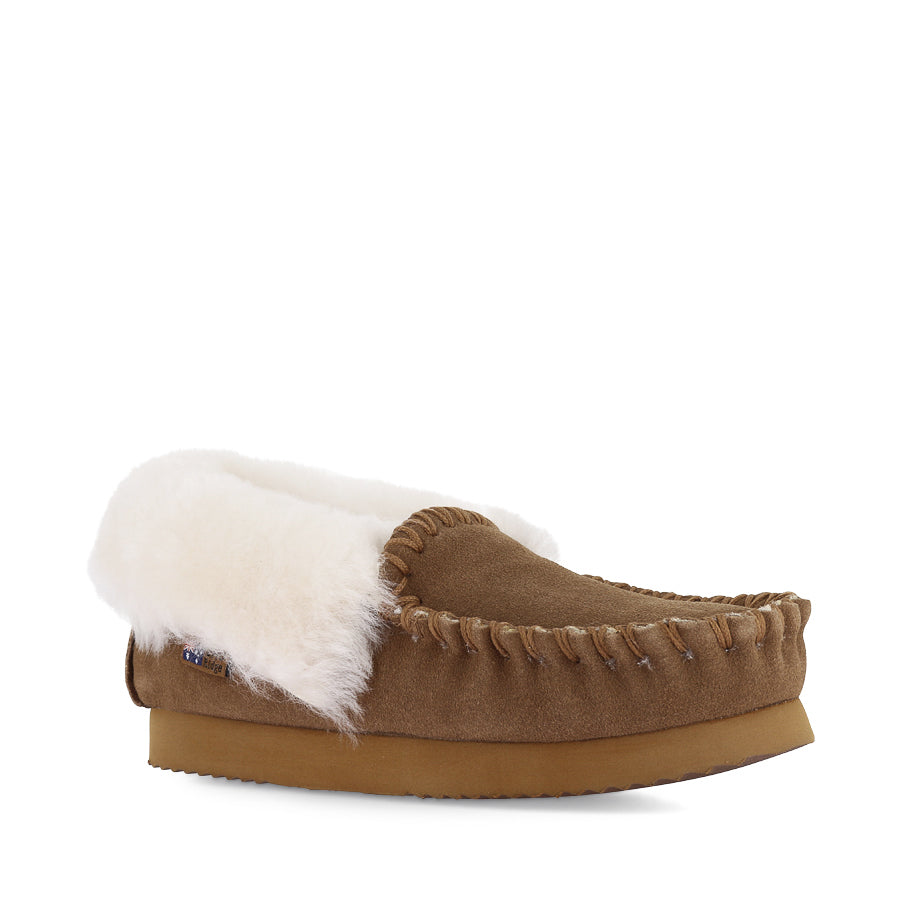 MOLLY - CHESTNUT