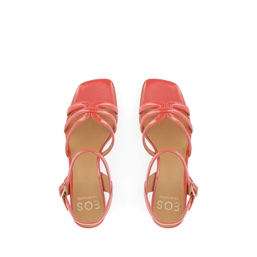 PETAH - MELON PATENT