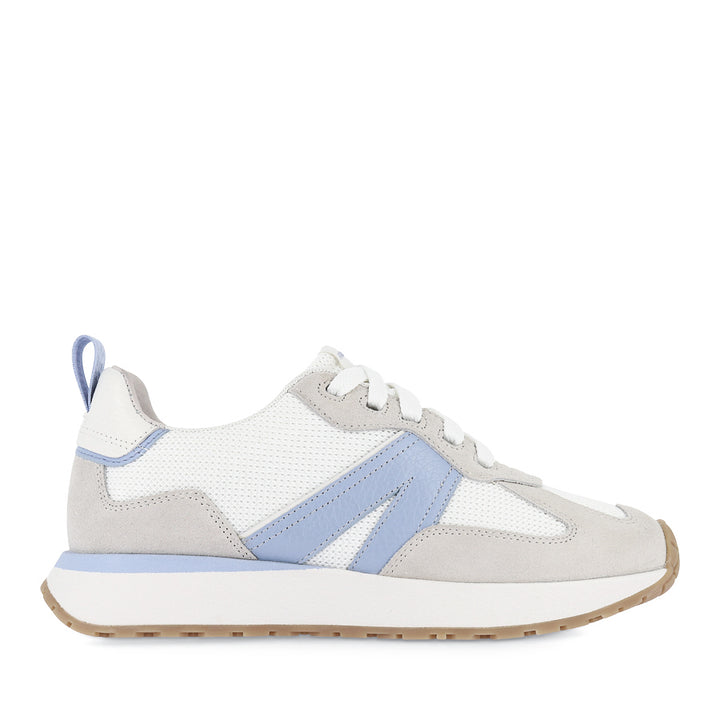 AXEL II - WHITE CORNFLOWER MULTI