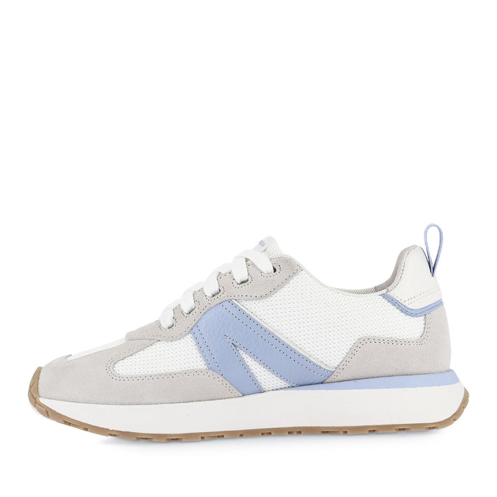 AXEL II - WHITE CORNFLOWER MULTI