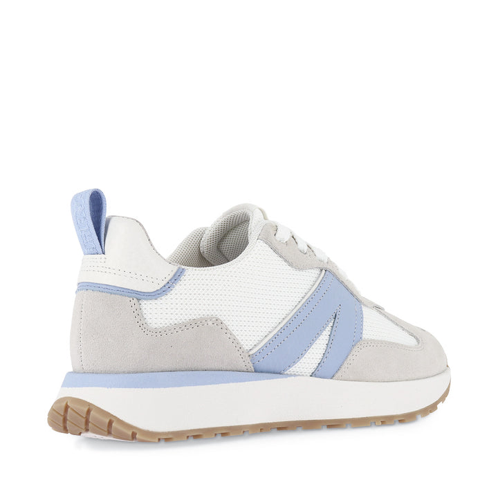AXEL II - WHITE CORNFLOWER MULTI