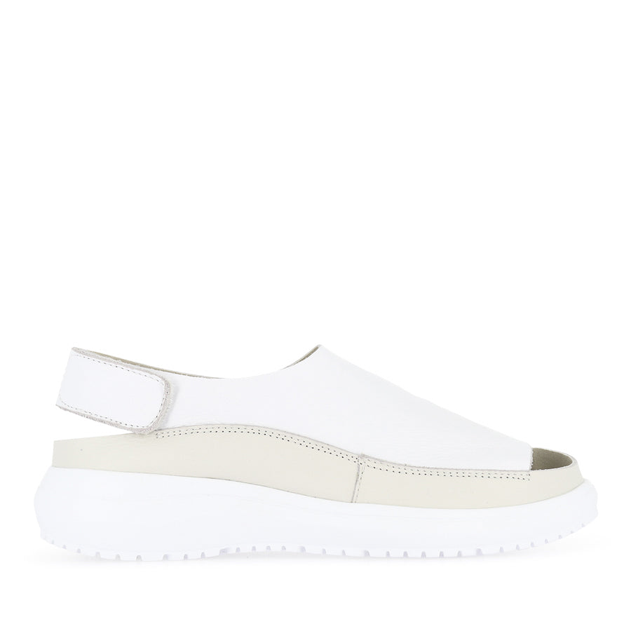 FROGO - WHITE BONE LEATHER