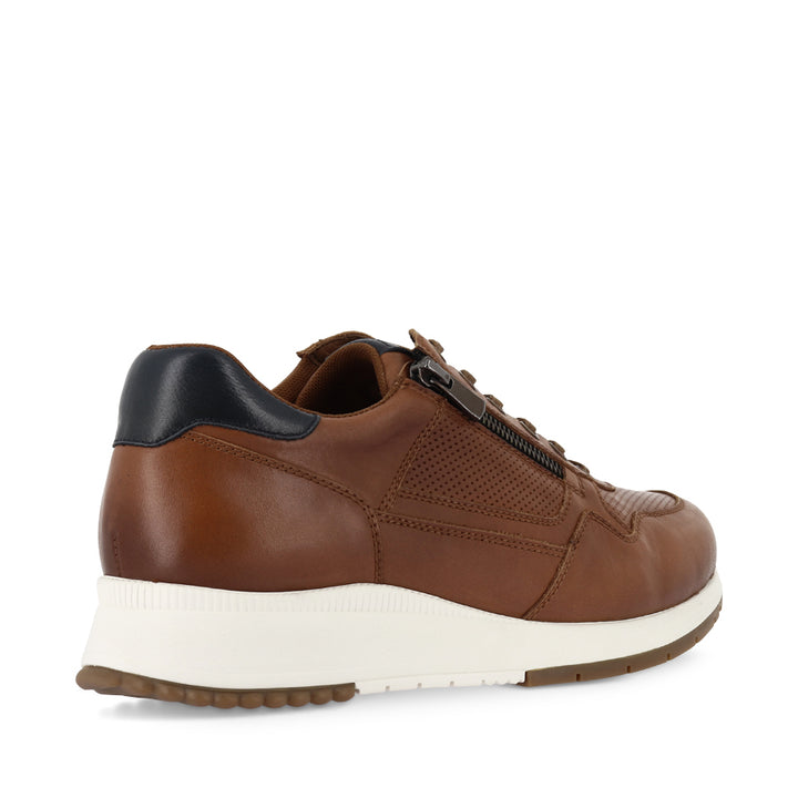 ZACHARY XW - DARK TAN