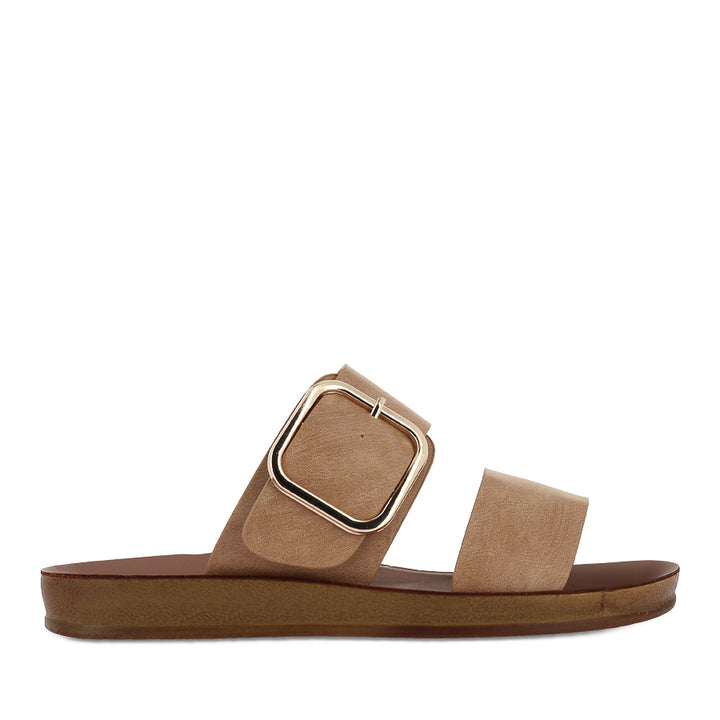 DOTI - CAMEL