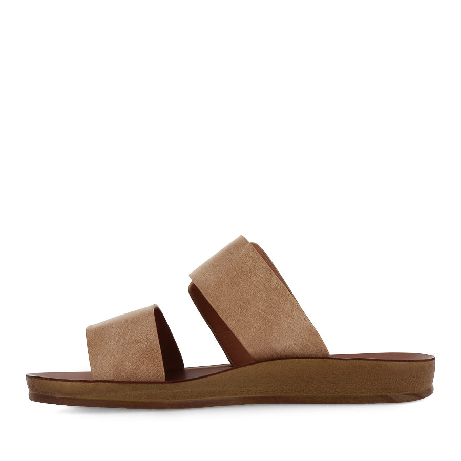 DOTI - CAMEL