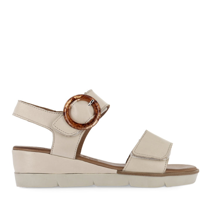 DIANA - BONE