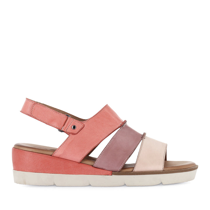 DION - PINK MULTI