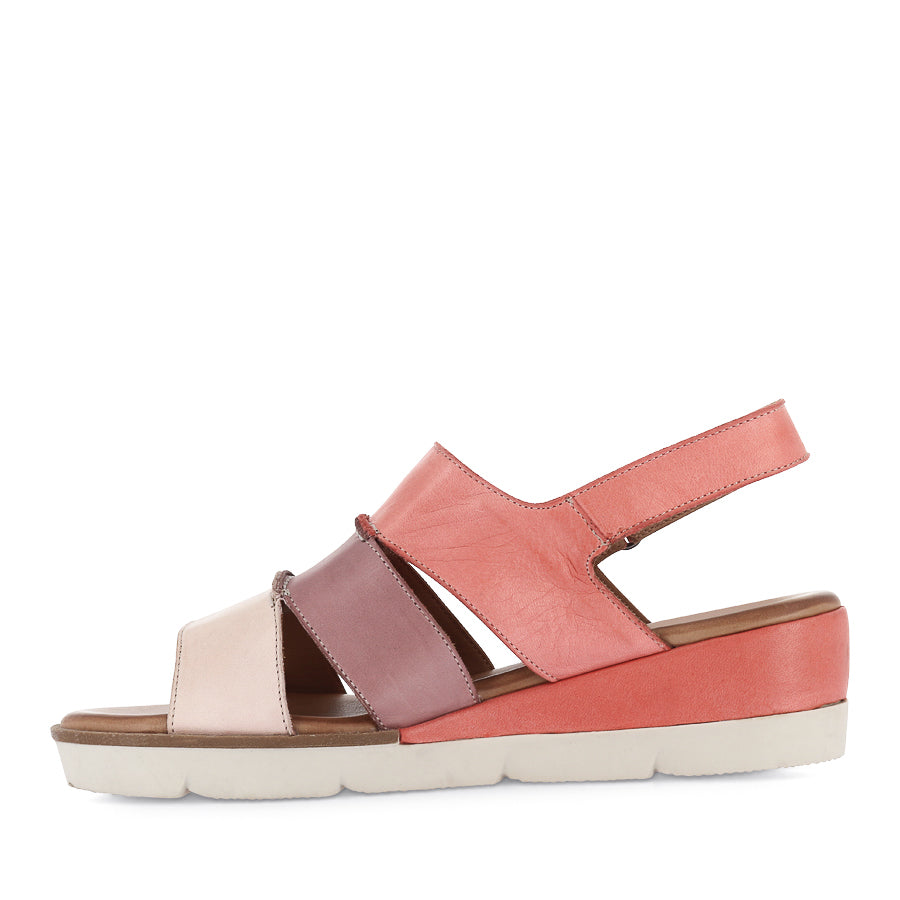 DION - PINK MULTI
