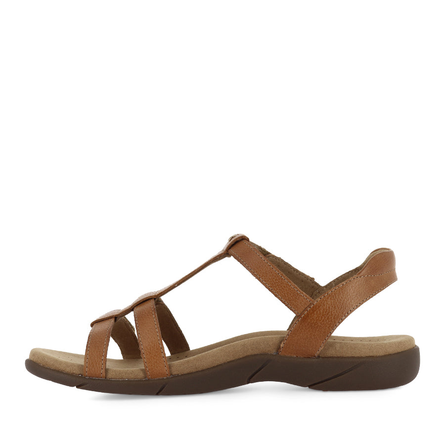 TROPHY 2 - HONEY LEATHER