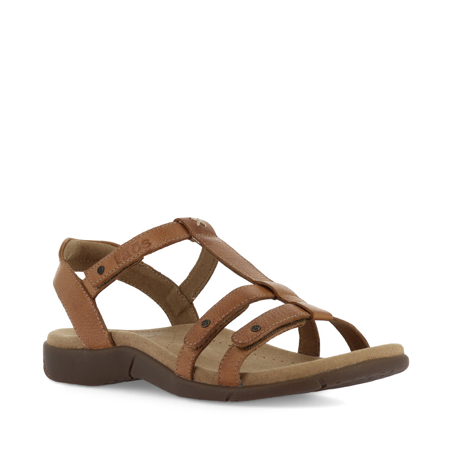 TROPHY 2 - HONEY LEATHER